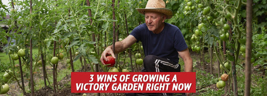 3 Wins of Growing a Victory Garden Right Now - My Patriot Supply