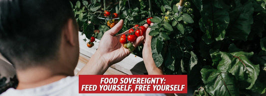 Food Sovereignty: Feed Yourself, Free Yourself - My Patriot Supply