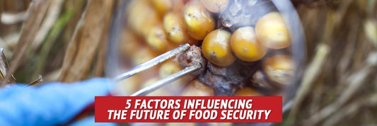 5 Factors Influencing the Future of Food Security - My Patriot Supply