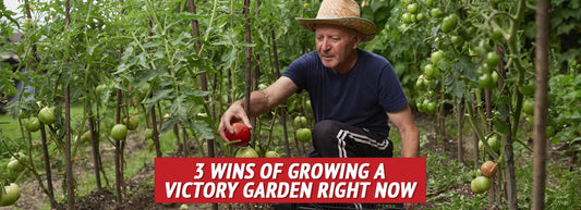 3 Wins of Growing a Victory Garden Right Now - My Patriot Supply